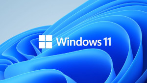 Windows 11 Bloom logo